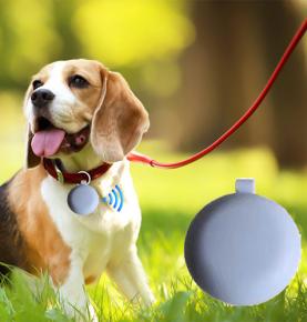 iBEACON Bluetooth për kafshë shtëpiake, etiketa elektronike e qenve kundër humbjes, për identifikimin e kafshëve në distanca të gjata, prodhuesit e etiketave të qenve me shumicë