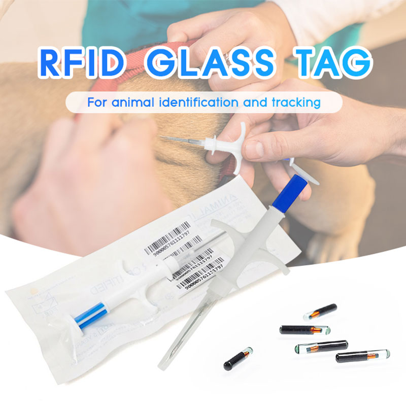 Etiketë bioelektronike me tub qelqi RFID me injeksion kafshësh